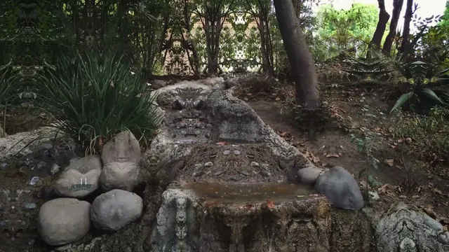 symmetrical forest edge